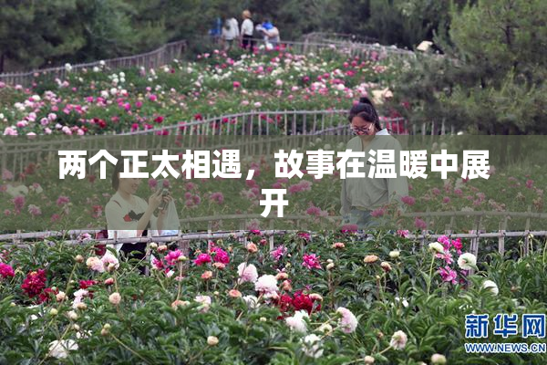 两个正太相遇，故事在温暖中展开
