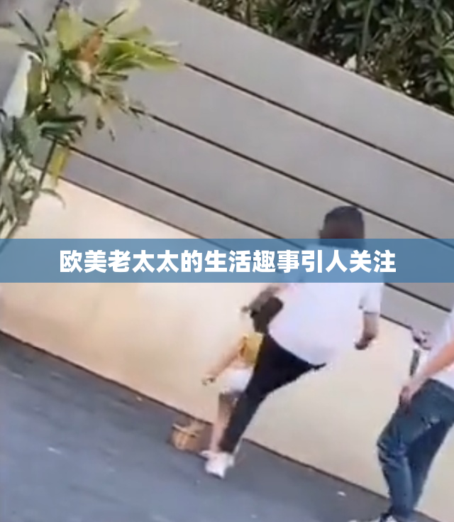 欧美老太太的生活趣事引人关注