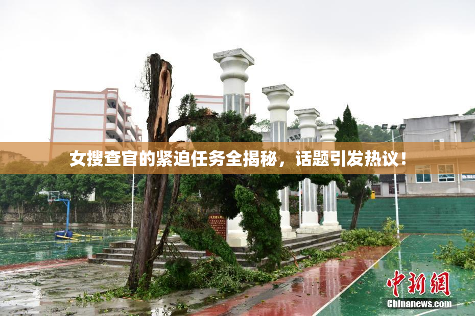 女搜查官的紧迫任务全揭秘，话题引发热议！