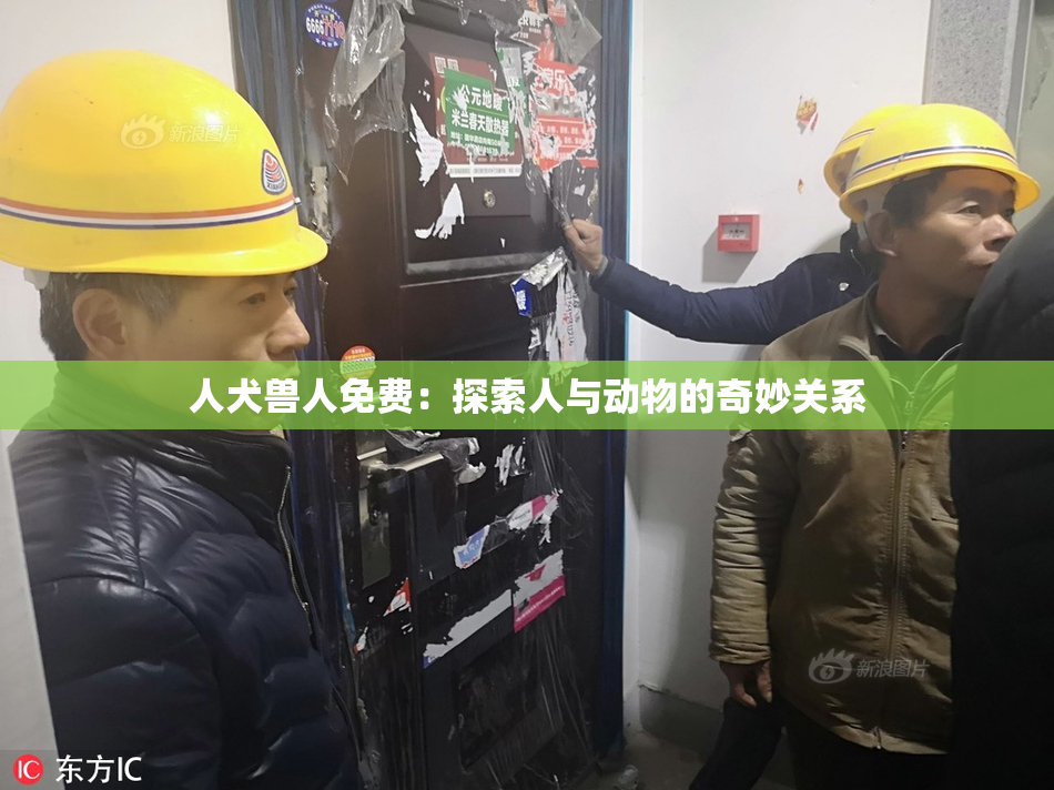人犬兽人免费：探索人与动物的奇妙关系
