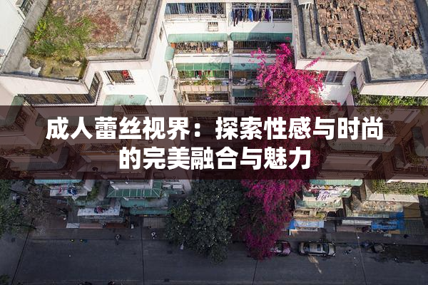 成人蕾丝视界：探索性感与时尚的完美融合与魅力