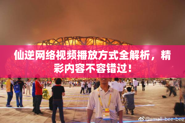 仙逆网络视频播放方式全解析，精彩内容不容错过！