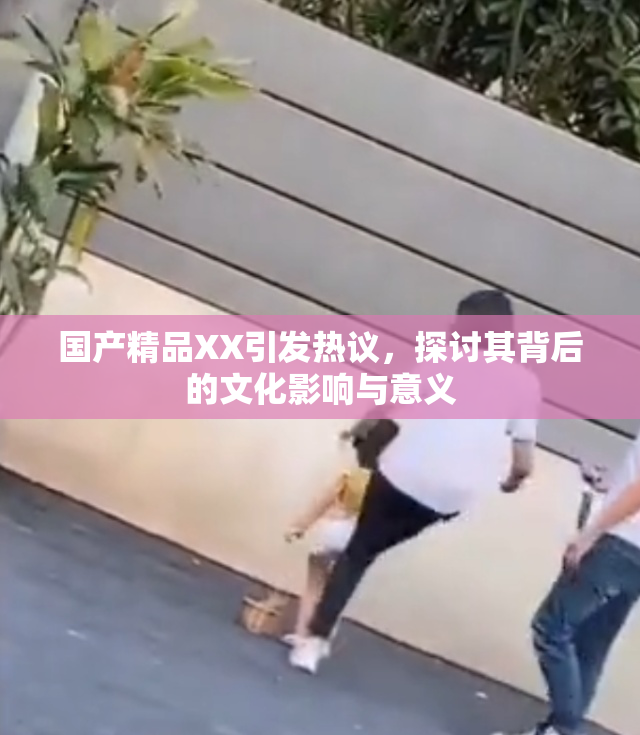 国产精品XX引发热议，探讨其背后的文化影响与意义