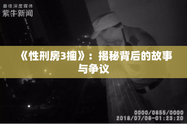 《性刑房3捆》：揭秘背后的故事与争议