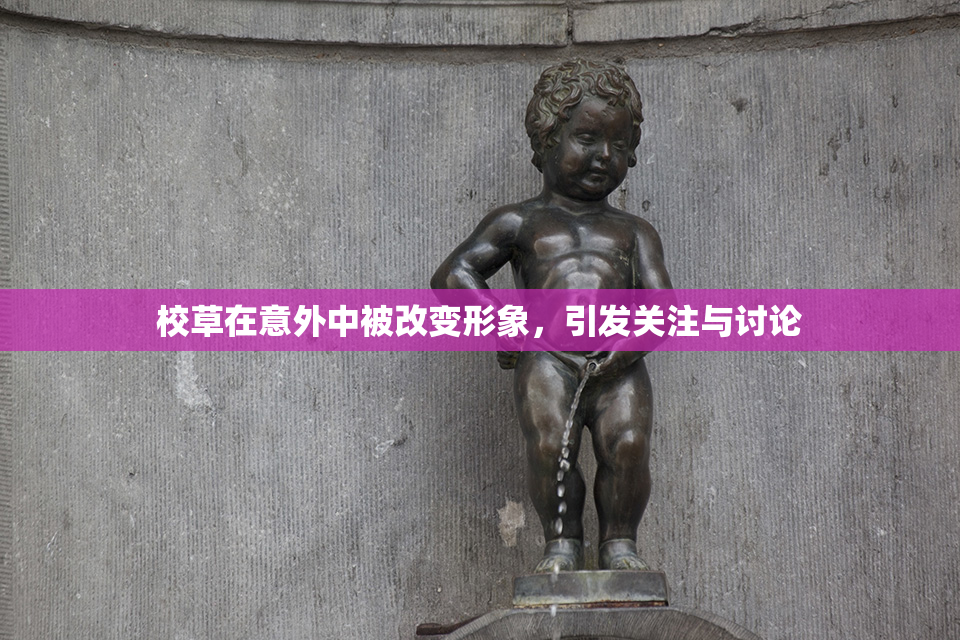 校草在意外中被改变形象，引发关注与讨论