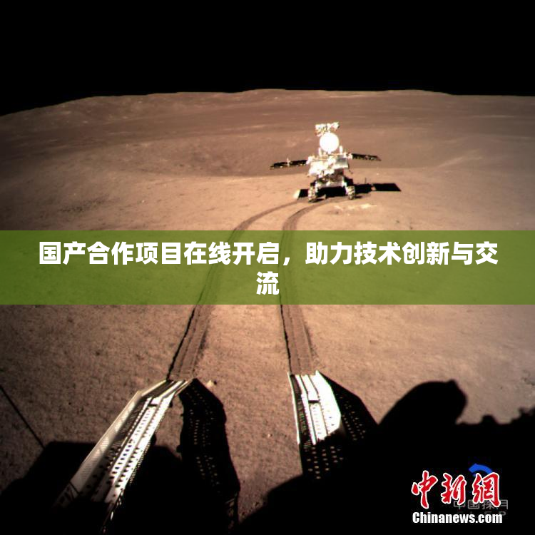 国产合作项目在线开启，助力技术创新与交流