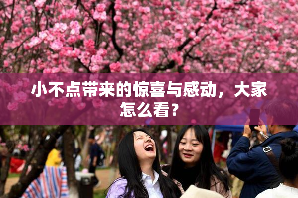 小不点带来的惊喜与感动，大家怎么看？
