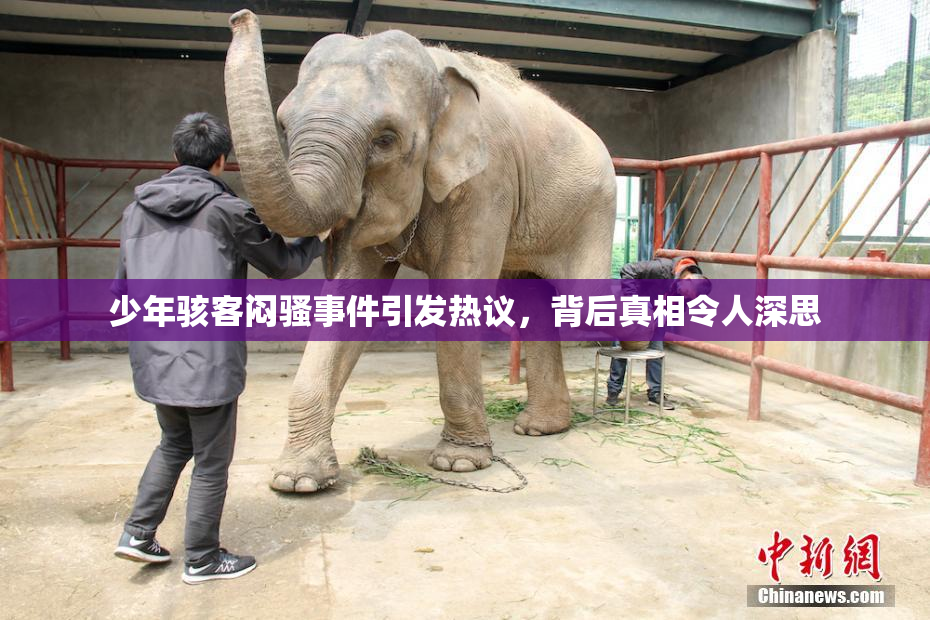 少年骇客闷骚事件引发热议，背后真相令人深思