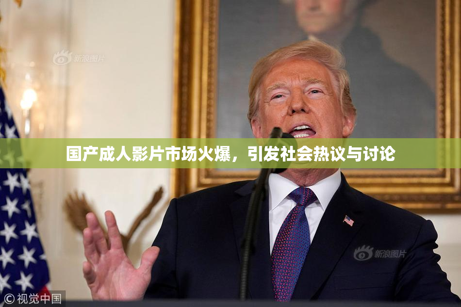 国产成人影片市场火爆，引发社会热议与讨论