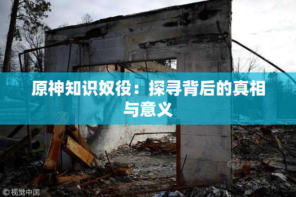 原神知识奴役：探寻背后的真相与意义