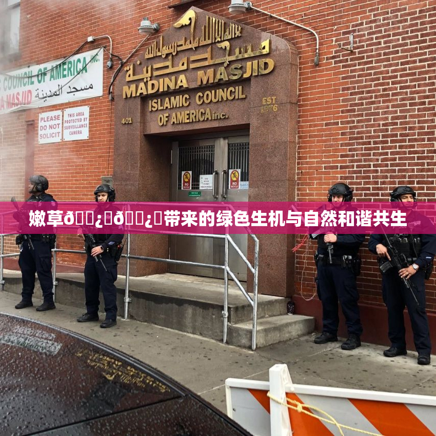 嫩草🌿‌🌿‌带来的绿色生机与自然和谐共生