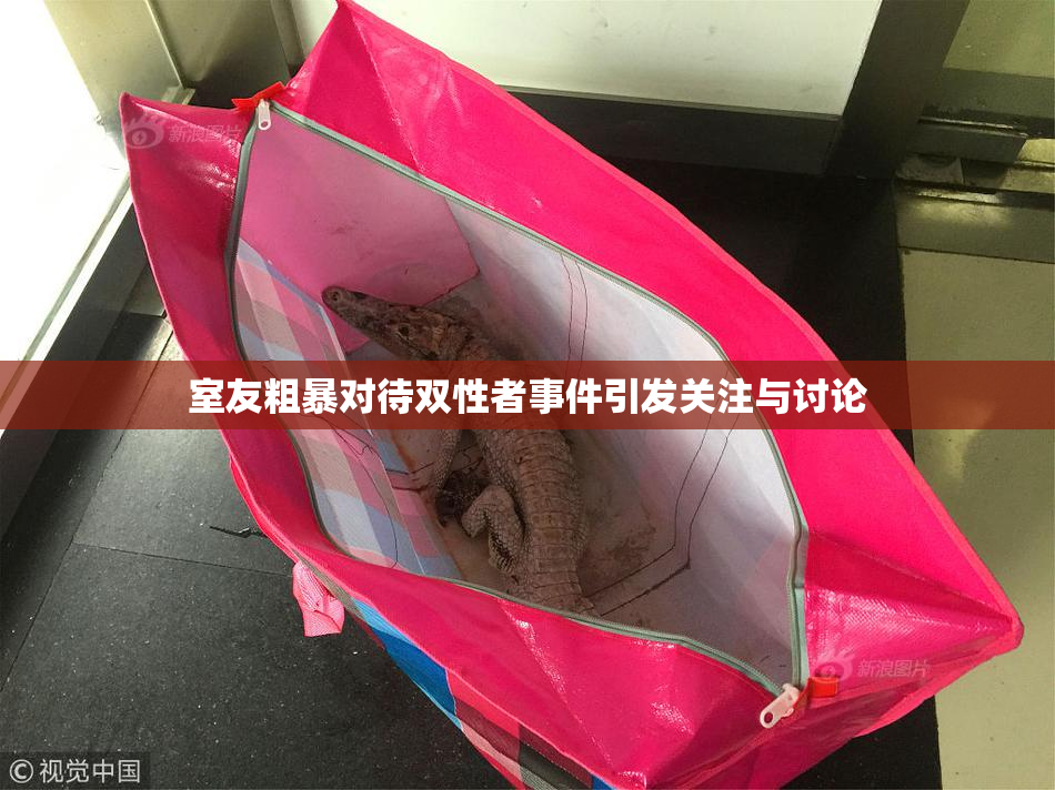 室友粗暴对待双性者事件引发关注与讨论