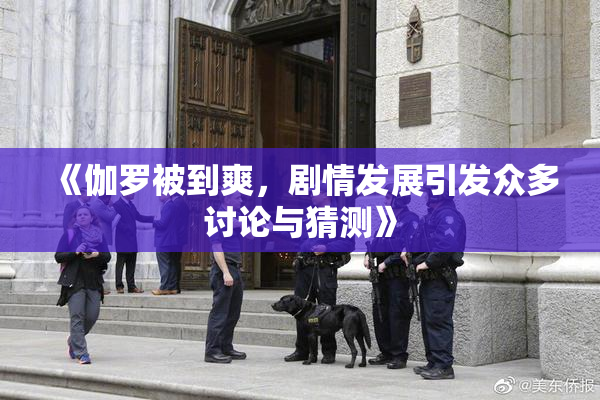 《伽罗被到爽，剧情发展引发众多讨论与猜测》