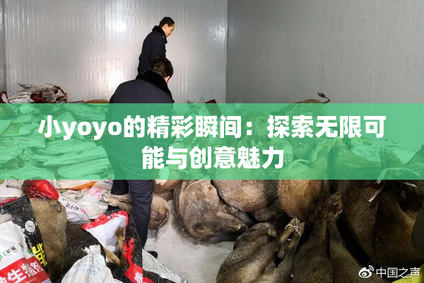 小yoyo的精彩瞬间：探索无限可能与创意魅力