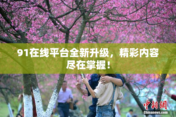 91在线平台全新升级，精彩内容尽在掌握！