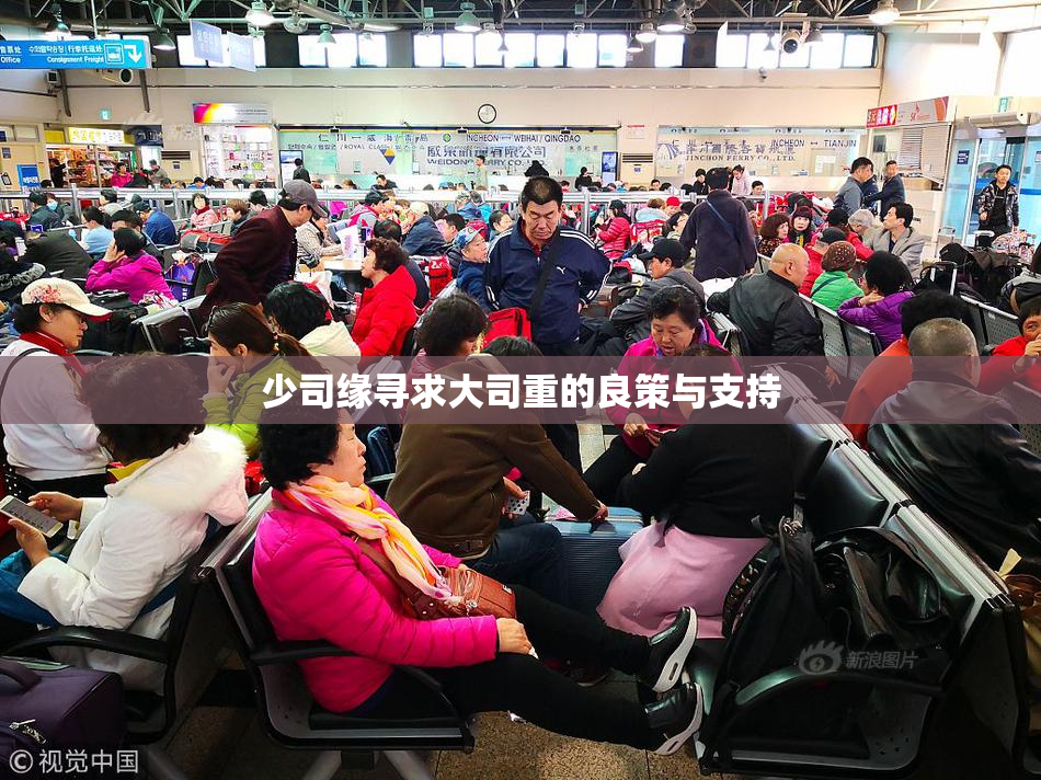 少司缘寻求大司重的良策与支持