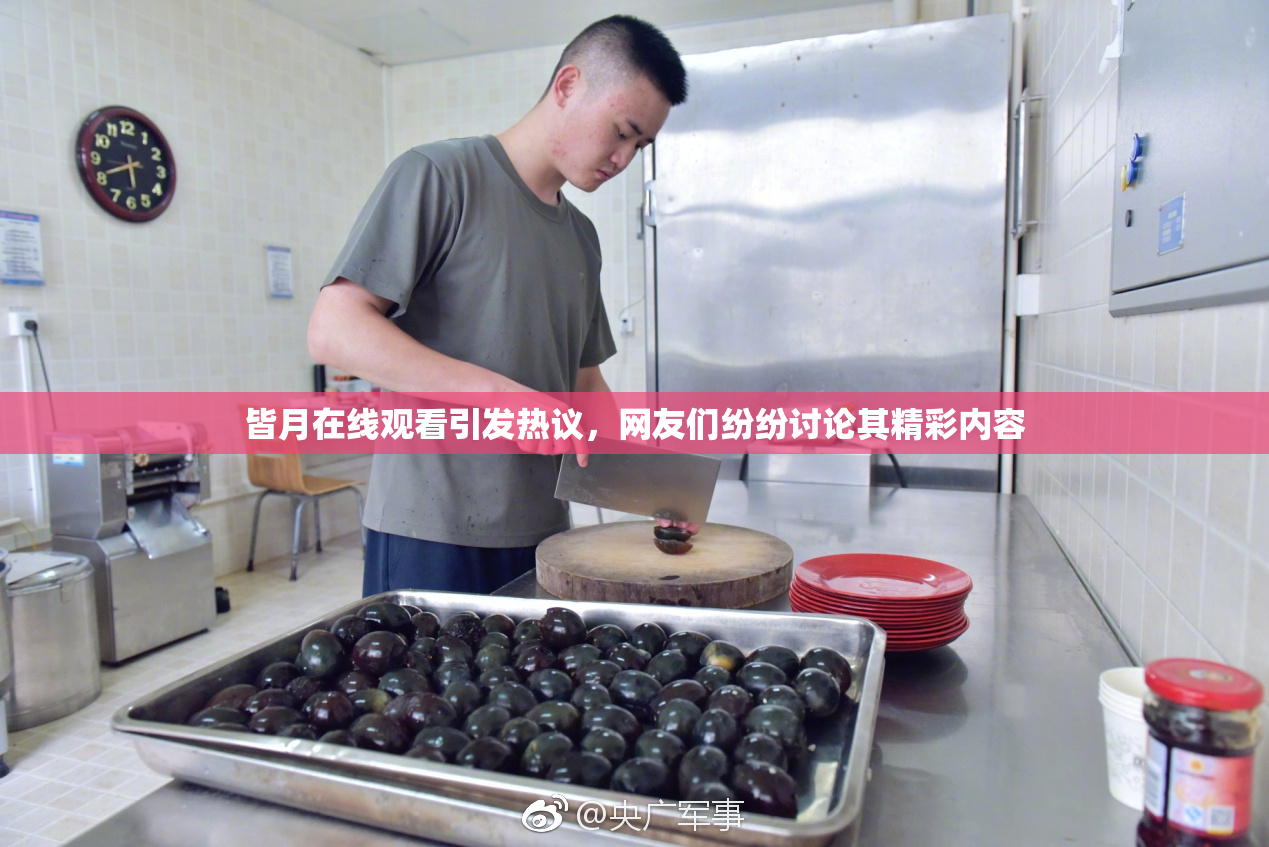 皆月在线观看引发热议，网友们纷纷讨论其精彩内容