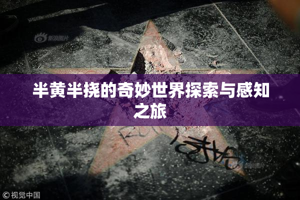 半黄半挠的奇妙世界探索与感知之旅