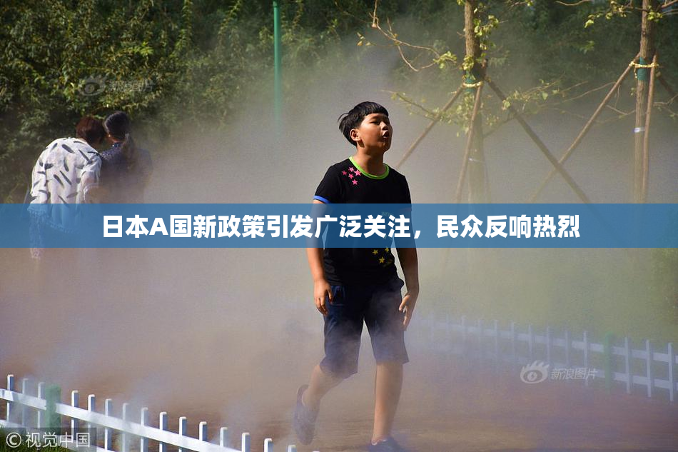 日本A国新政策引发广泛关注，民众反响热烈