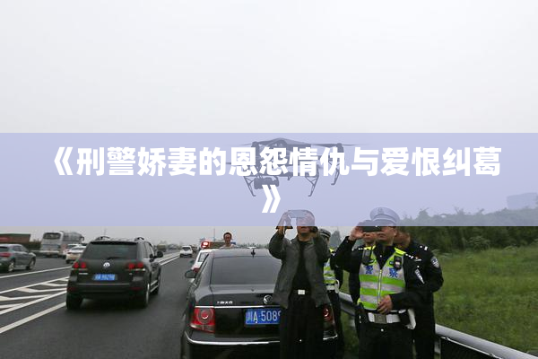 《刑警娇妻的恩怨情仇与爱恨纠葛》