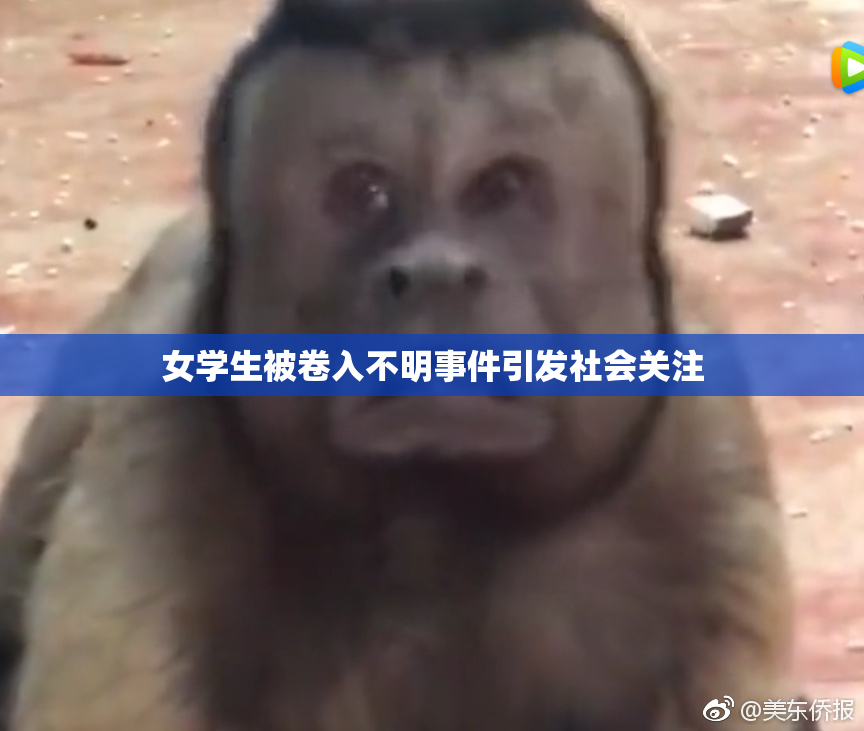 女学生被卷入不明事件引发社会关注