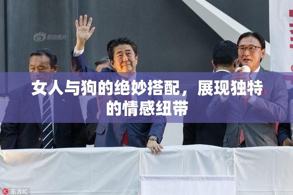 女人与狗的绝妙搭配，展现独特的情感纽带