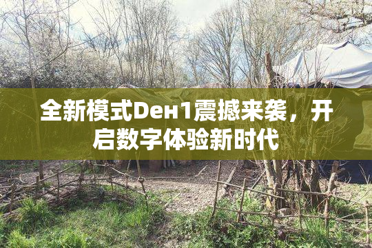 全新模式Dен1震撼来袭，开启数字体验新时代