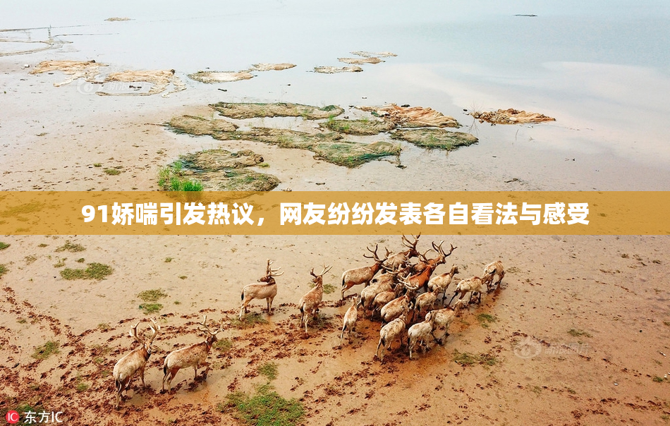 91娇喘引发热议，网友纷纷发表各自看法与感受