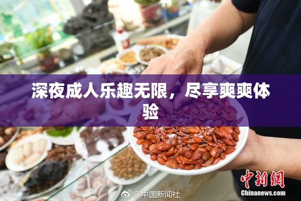 深夜成人乐趣无限，尽享爽爽体验