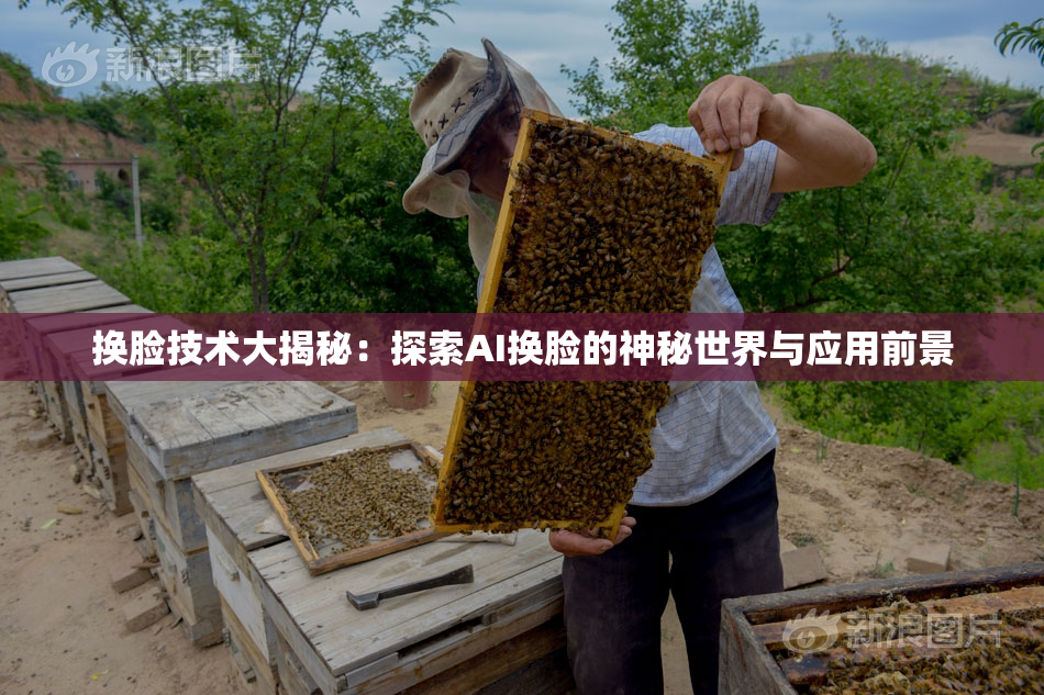 换脸技术大揭秘：探索AI换脸的神秘世界与应用前景