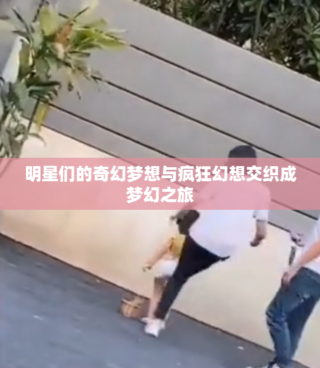 明星们的奇幻梦想与疯狂幻想交织成梦幻之旅