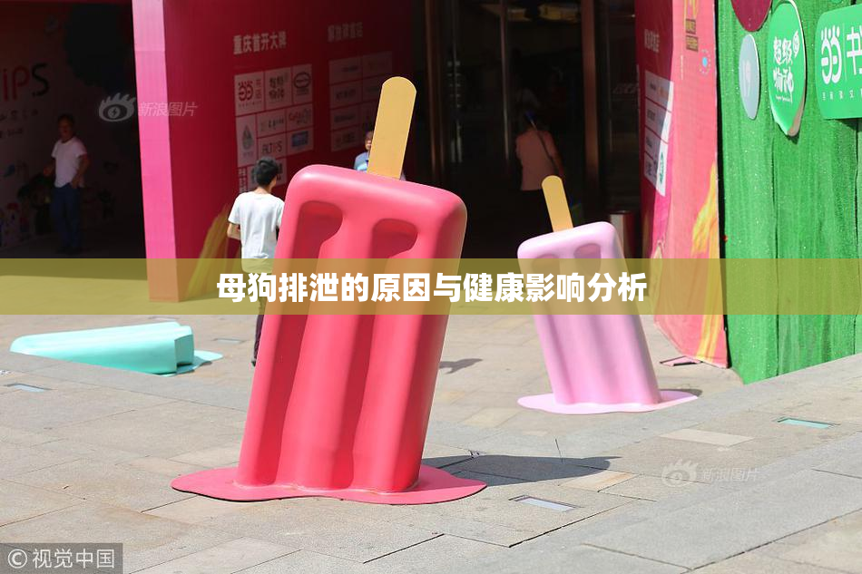 母狗排泄的原因与健康影响分析