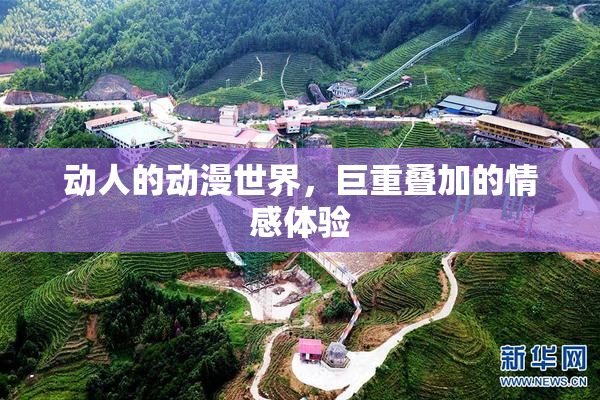 动人的动漫世界，巨重叠加的情感体验