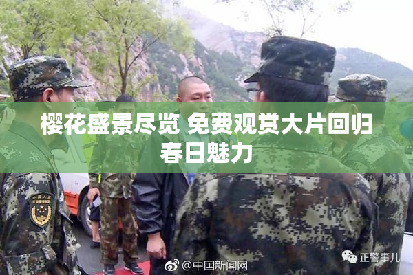 樱花盛景尽览 免费观赏大片回归春日魅力