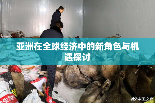 亚洲在全球经济中的新角色与机遇探讨