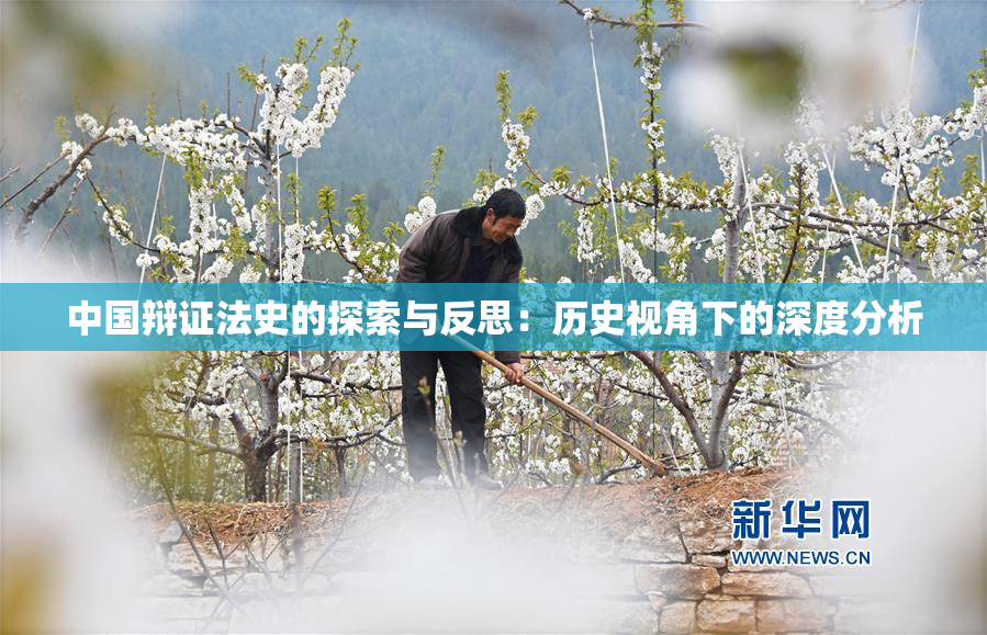 中国辩证法史的探索与反思：历史视角下的深度分析