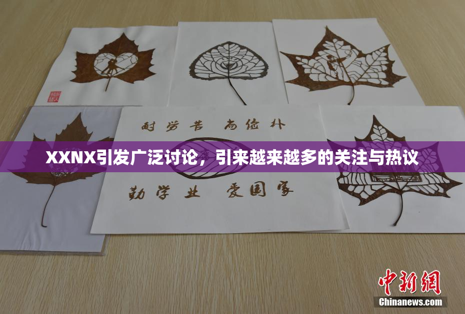 XXNX引发广泛讨论，引来越来越多的关注与热议
