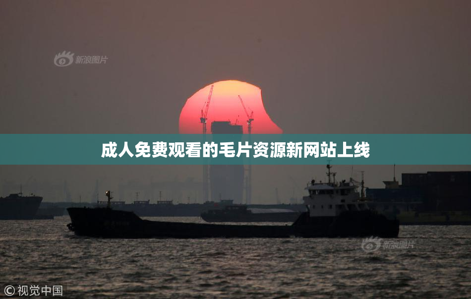 成人免费观看的毛片资源新网站上线