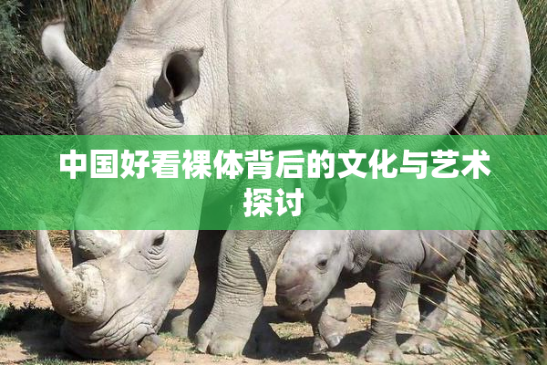 中国好看裸体背后的文化与艺术探讨