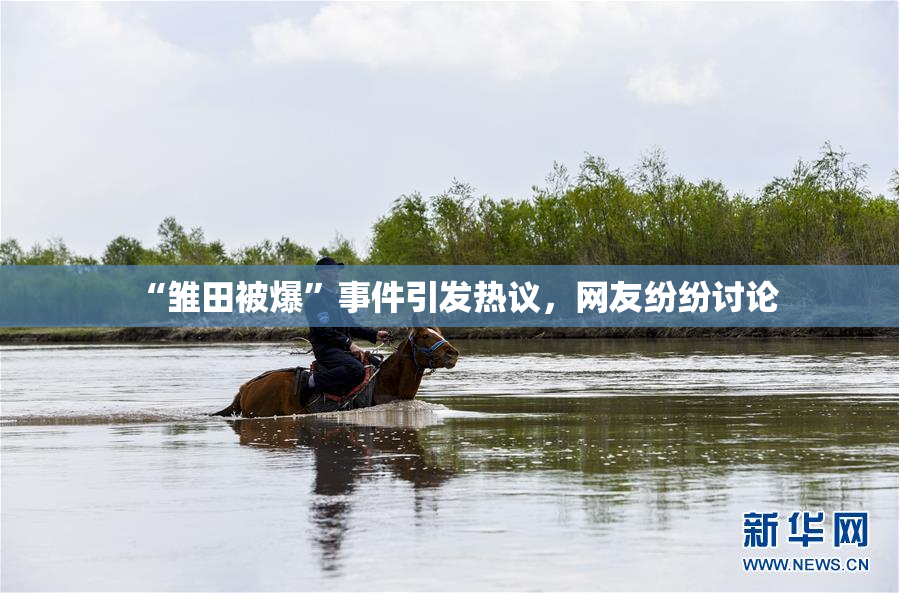 “雏田被爆”事件引发热议，网友纷纷讨论
