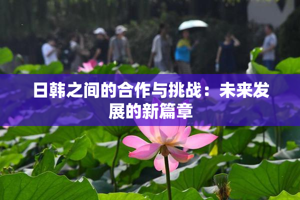 日韩之间的合作与挑战：未来发展的新篇章