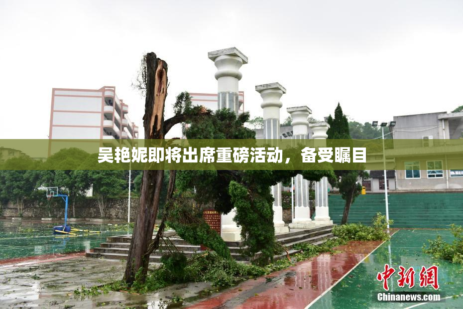 吴艳妮即将出席重磅活动，备受瞩目