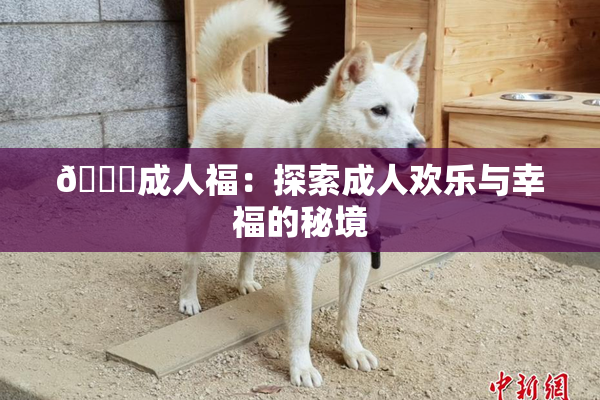 🔞成人福：探索成人欢乐与幸福的秘境