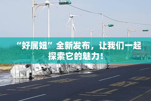 “好属妞”全新发布，让我们一起探索它的魅力！