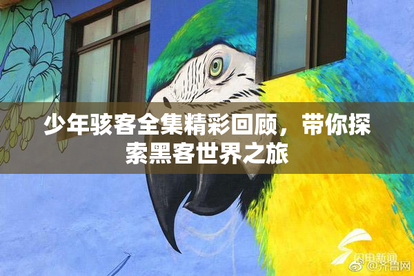 少年骇客全集精彩回顾，带你探索黑客世界之旅