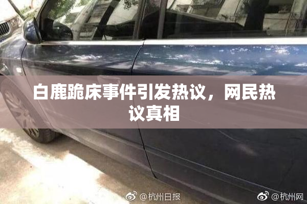 白鹿跪床事件引发热议，网民热议真相