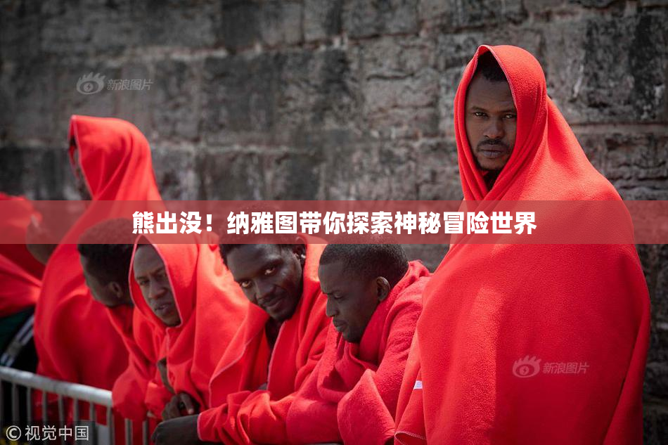 熊出没！纳雅图带你探索神秘冒险世界