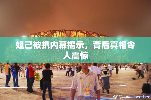 妲己被扒内幕揭示，背后真相令人震惊