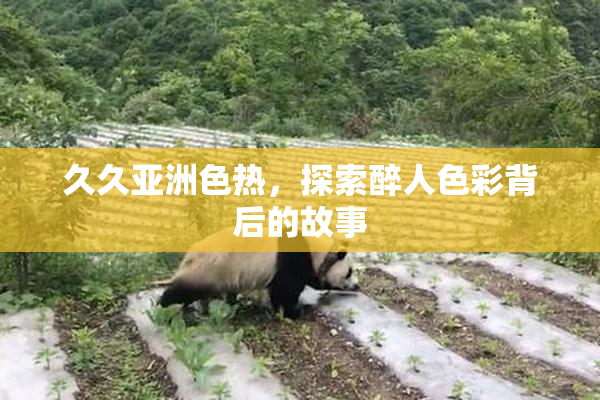 久久亚洲色热，探索醉人色彩背后的故事