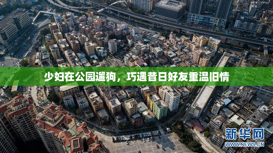 少妇在公园遛狗，巧遇昔日好友重温旧情